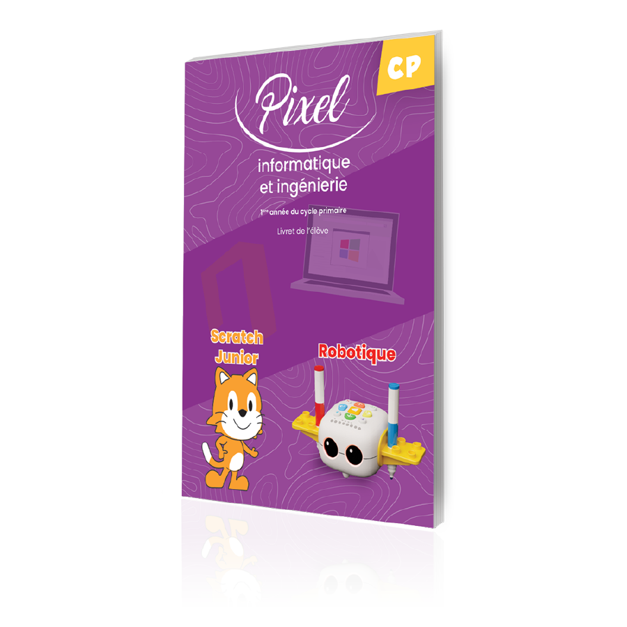 Pixel informatique book