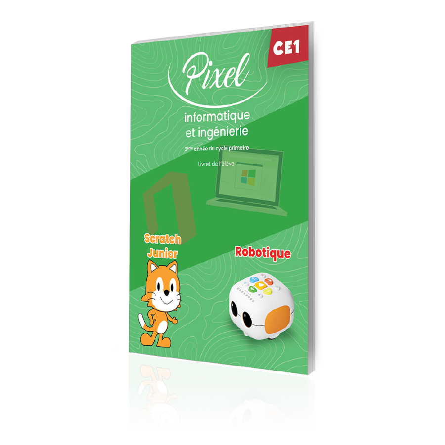 Pixel informatique book