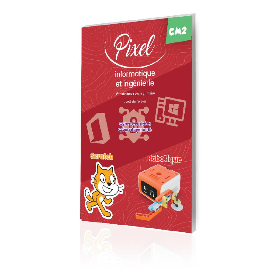Pixel informatique book