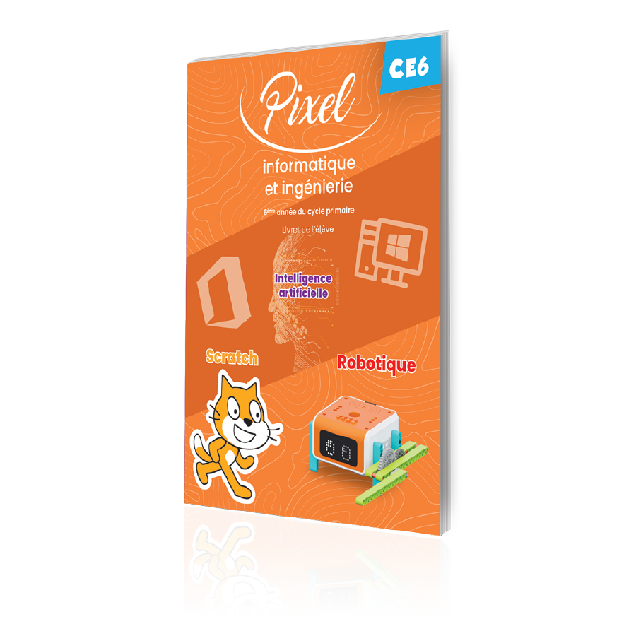 Pixel informatique book